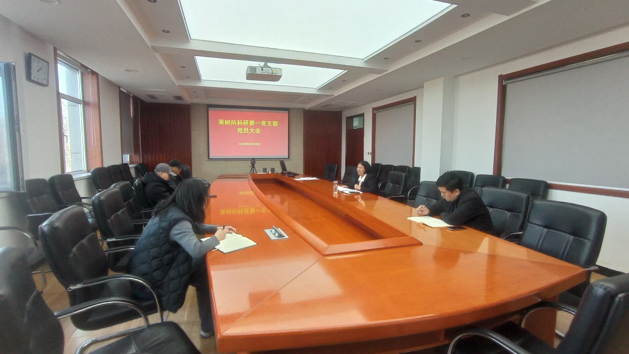 图片1.jpg