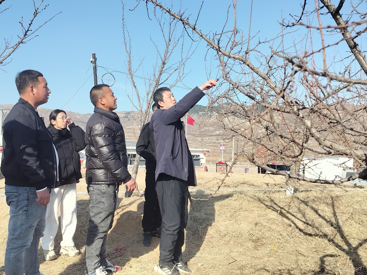 微信图片_20250312105320.jpg